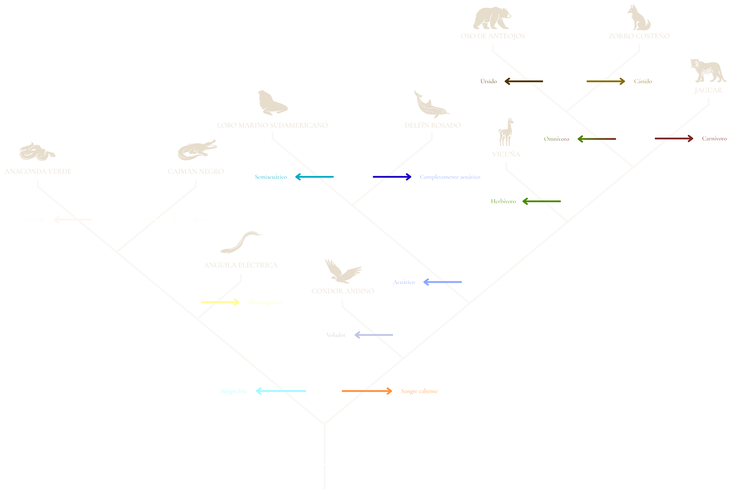 Árbol filogenético de 10 animales peruanos