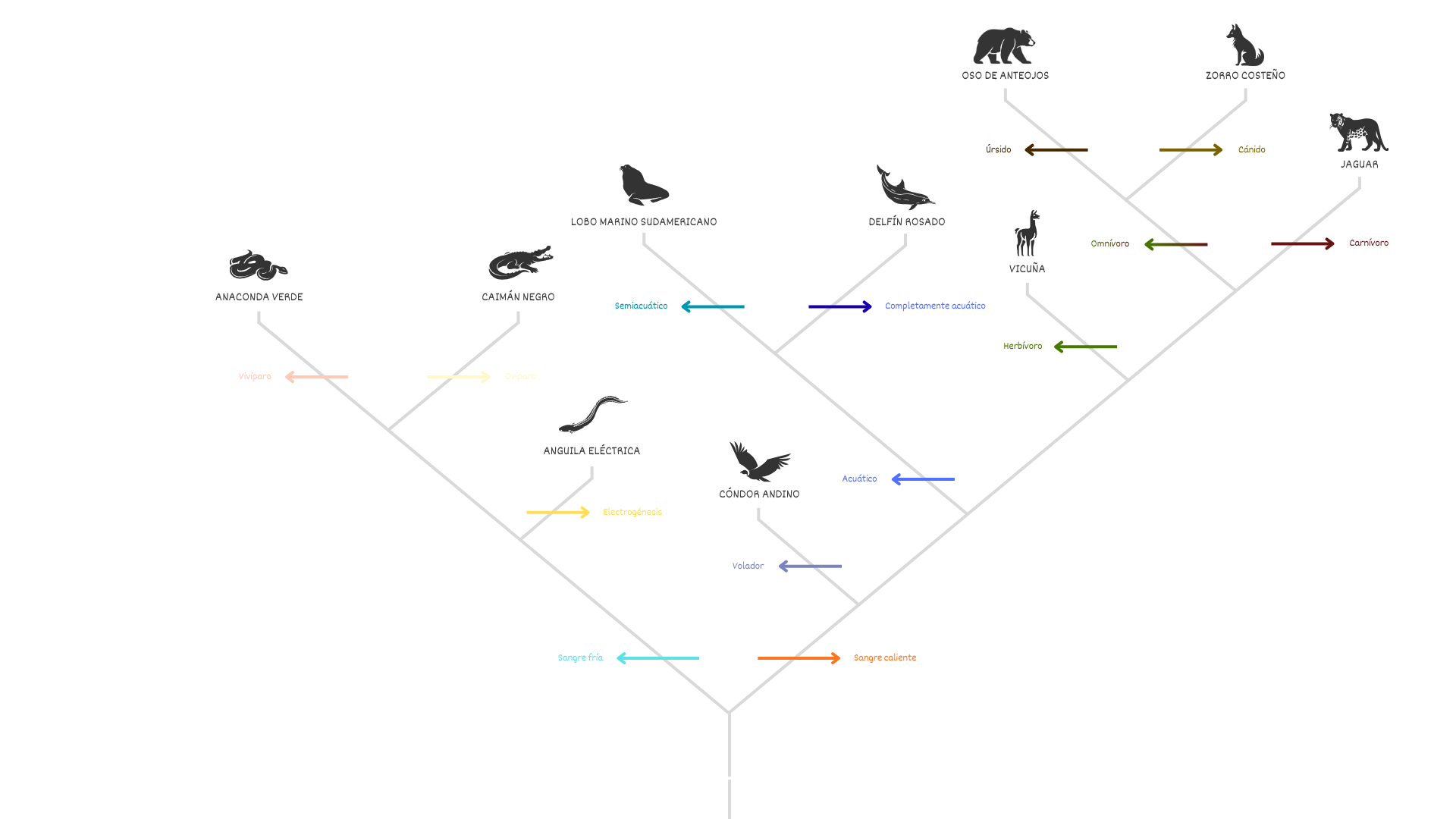 Árbol filogenético de 10 animales peruanos