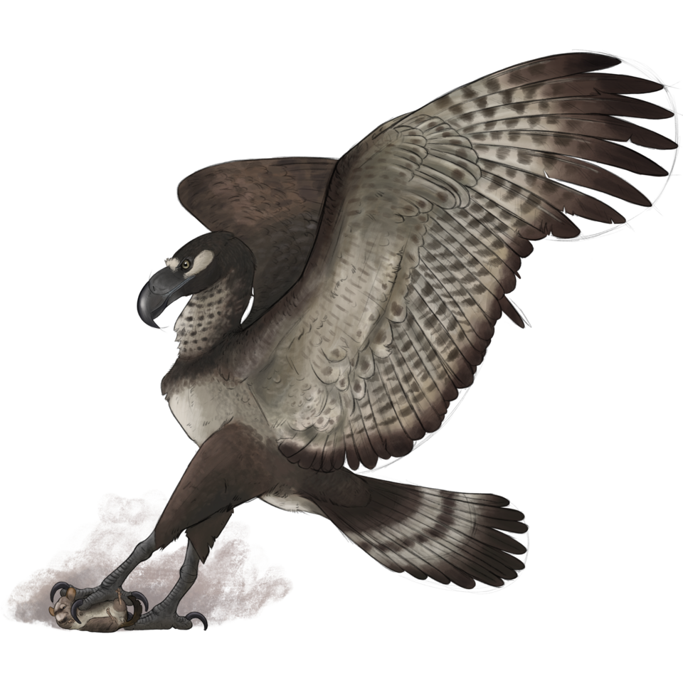 Argentavis magnificens