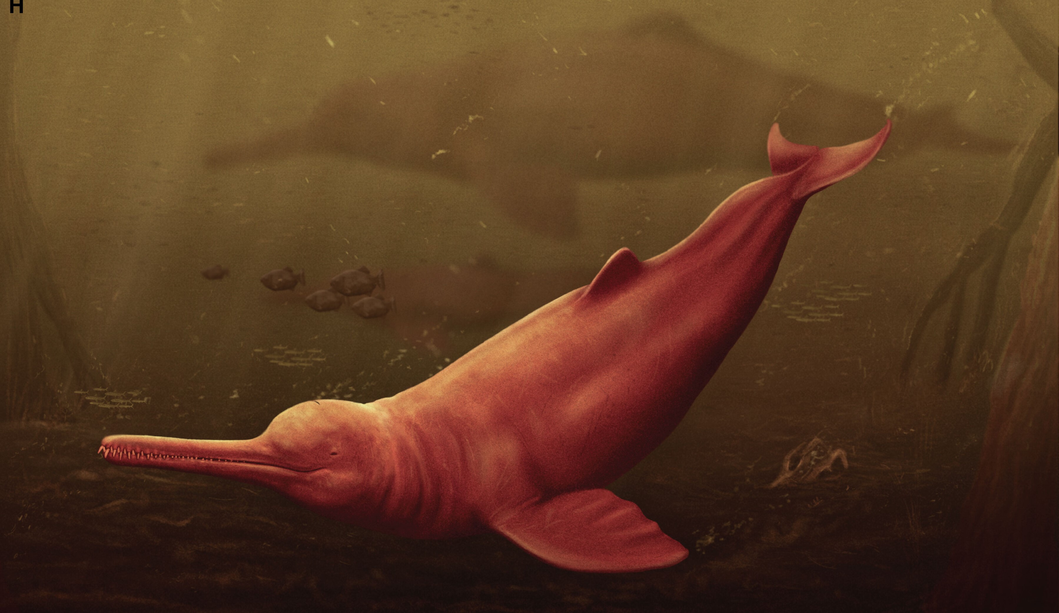 Pebanista yacuruna, reconstrucción artística