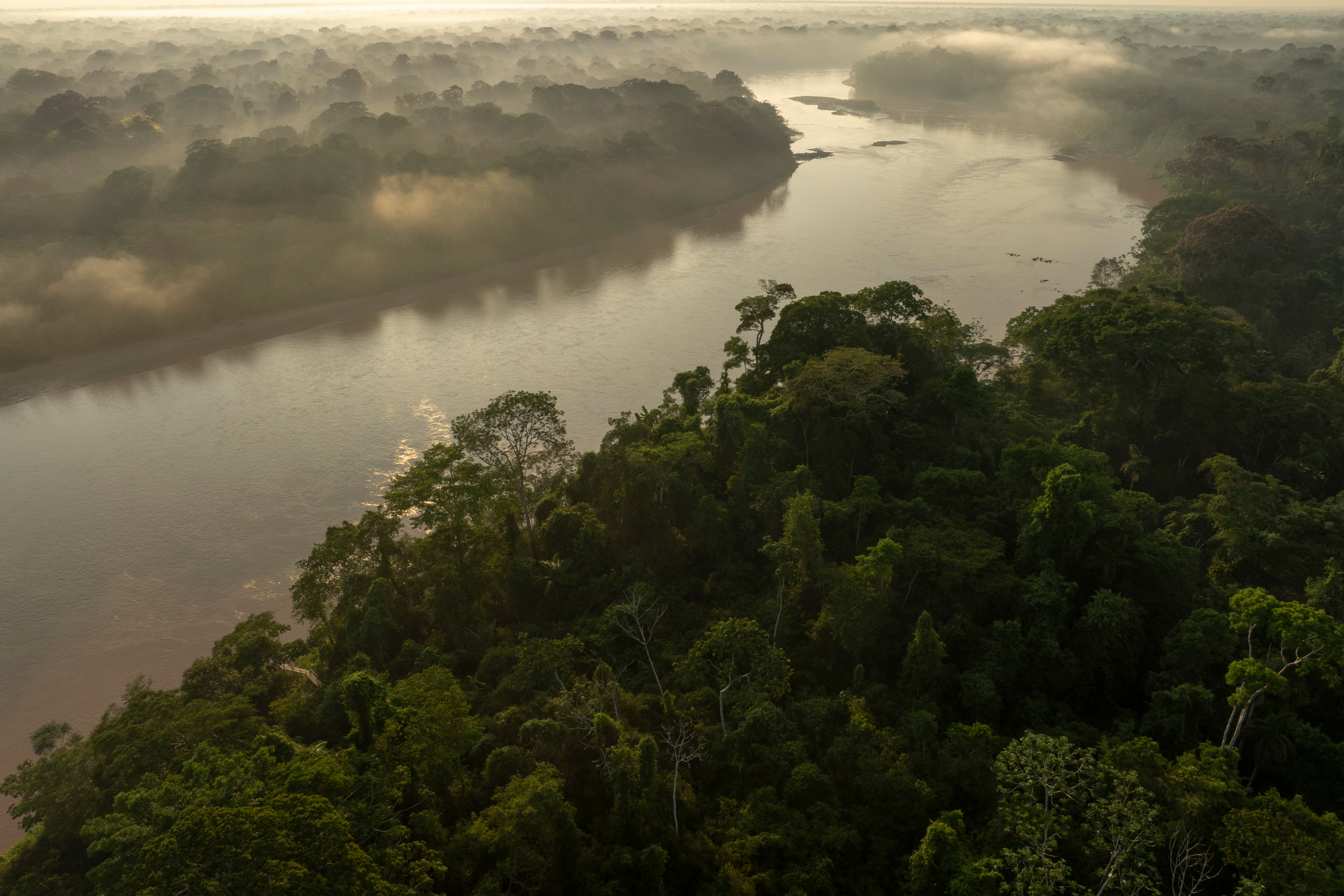 Biodiversidad peruana